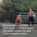 경기도 남양주시 별내동에 설치된 횡단보도 대기 의자 (중앙일보 보도) | 보배드림 교통사고/블박