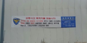 목격자를 찾습니다 | 보배드림 교통사고/블박