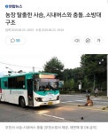 농장 탈출한 사슴 시내버스와 충돌 | 보배드림 교통사고/블박
