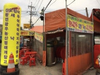 안성 불법 포장마차 | 보배드림 교통사고/블박