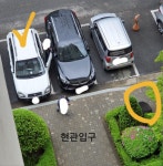 아파트 현관입구에서 매트털고있네요 | 보배드림 교통사고/블박