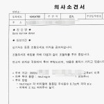 신호 대기중에 뒤에서 박았는데 그냥 왔습니다 응원도 부탁드려요 | 보배드림 베스트글