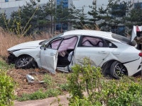 시화공단 파손 그린카 | 보배드림 베스트글
