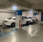 저희 아파트에도 우동사리가 있네요 | 보배드림 베스트글