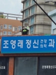경찰 단속 근황 | 보배드림 교통사고/블박