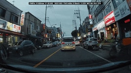 중앙선침범 역방향 주차 잡았다 요놈 ㅋㅋㅋ | 보배드림 베스트글