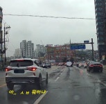 나비처럼 날아서 벌처럼 쏴라 | 보배드림 베스트글