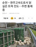 사천서 차량이 전봇대 들이받아 | 보배드림 교통사고/블박