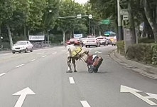 그냥 지나친게 왠지 죄송하네요 112신고 했어야 하는데 ㅠㅠ | 보배드림 교통사고/블박