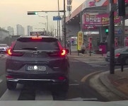 보행자 우선이라고 | 보배드림 교통사고/블박