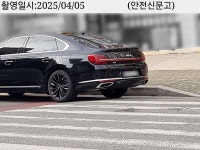 횡단보도 맛집 | 보배드림 교통사고/블박
