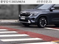 횡단보도 맛집 | 보배드림 교통사고/블박