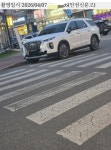 방교동 불법주정차 모음 | 보배드림 베스트글