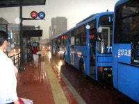 강남역 버스 정류장에서 | 보배드림 교통사고/블박