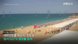 백린탄 집속탄같은 무기는 그만좀 사용했으면.. | 보배드림 군사/무기