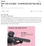 [뉴스] 윤석열, 우크라에 직접 천궁, 포탄 지원 지시 | 보배드림 베스트글