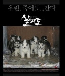 대전서 출발합니다~ | 보배드림 시승기/배틀/목격담