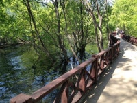 민들레씨지옥 | 보배드림 시승기/배틀/목격담