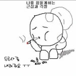호두과자 甲추천요 | 보배드림 시승기/배틀/목격담