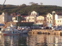 거제 여행 첫 아침 | 보배드림 시승기/배틀/목격담