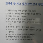 이제 들어가봐야겠어요 | 보배드림 시승기/배틀/목격담