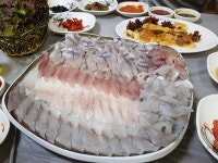 회가 뭐죠? | 보배드림 시승기/배틀/목격담