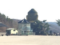 용인대가리 누구냐? | 보배드림 시승기/배틀/목격담