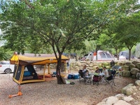 오래간만에 나오니깐 좆네요 | 보배드림 시승기/배틀/목격담