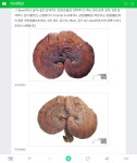 자지 | 보배드림 시승기/배틀/목격담