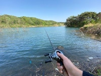 고래 한마리 낚아 가겠습니다. | 보배드림 시승기/배틀/목격담