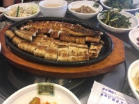 죙일비오네요 | 보배드림 시승기/배틀/목격담