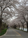 보령댐으로 오세유 | 보배드림 시승기/배틀/목격담