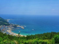 나홀로 투어 | 보배드림 베스트글