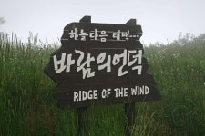 매봉산 바람의 언덕 | 보배드림 시승기/배틀/목격담