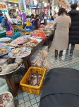 사람구경ㅎㄷㄷ | 보배드림 시승기/배틀/목격담