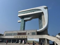 의외로(?) 우리나라에서 볼 수 있는 차 | 보배드림 베스트글