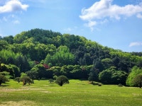 산책하기 좋은 날~ | 보배드림 시승기/배틀/목격담