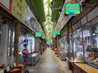 이곳이 태백 입니까 | 보배드림 시승기/배틀/목격담