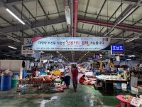 대명포구 시승기 | 보배드림 시승기/배틀/목격담