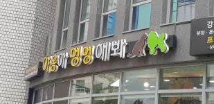 야옹아~~멍멍해봐~~ | 보배드림 자유게시판