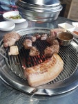 동탄 채돈이 굳굳 | 보배드림 자유게시판