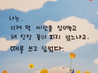 손글씨 연습하면 될지 봐주세요~! | 보배드림 자유게시판