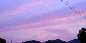 보배회원님들~마음힐링 하세요~ | 보배드림 자유게시판