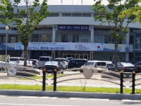 대전체육회  대실망 | 보배드림 자유게시판