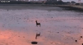 오늘 강제발기 짤로 마무리 짓고 잘랍니다. | 보배드림 자유게시판