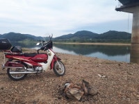 내일은 칠갑산휴게소가소 | 보배드림 자유게시판