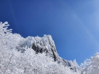 겨울왕국 무등산힐링 | 보배드림 자유게시판