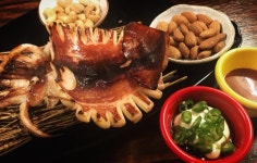 호프집 안주 | 보배드림 자유게시판