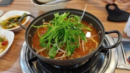 자! 시작하겠습니다~~~ | 보배드림 자유게시판