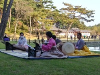 세종대왕릉 다녀왔음요 | 보배드림 자유게시판